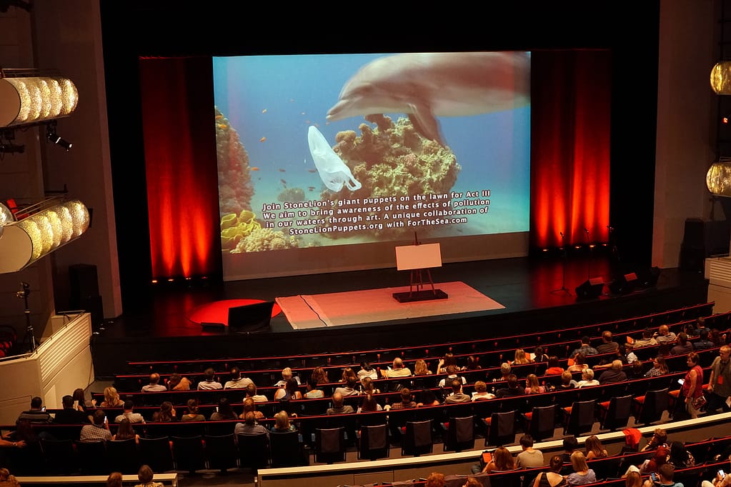 TEDx Dolphin screen